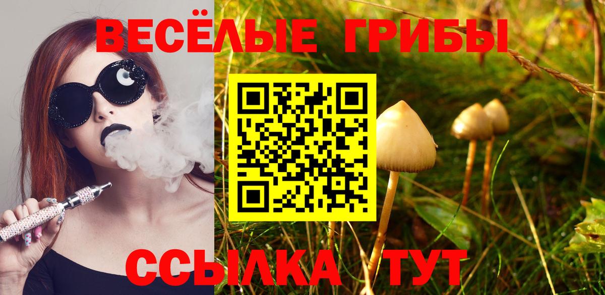Ревда  Галлюциногенные грибы мухоморы  Вход с VPN 
